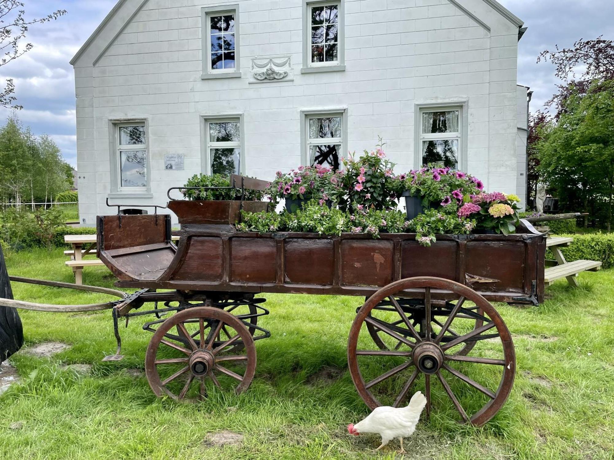 Bunde  Steinhaus Hof 빌라 외부 사진